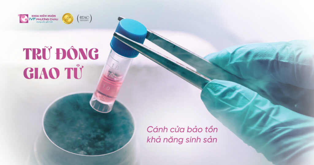 Trữ Đông Giao Tử - Cánh Cửa Bảo Tồn Khả Năng Sinh Sản